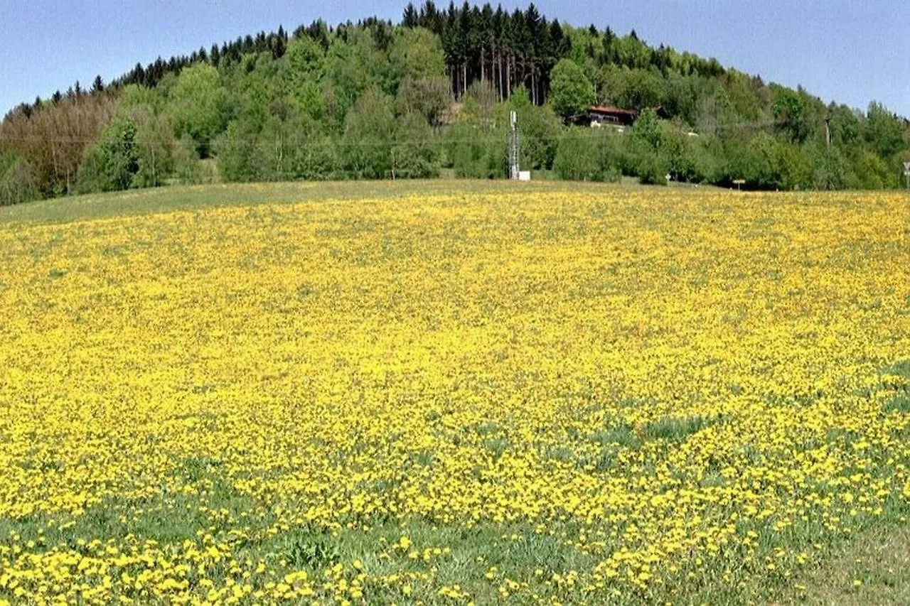 Ferien Vom Ich, Bayerischer Wald, Hotel & Restaurant Neukirchen  3*, Neukirchen (Lower Bavaria) Germany